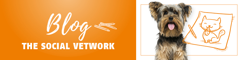 landingpage_vc_link_800px_blog.jpg