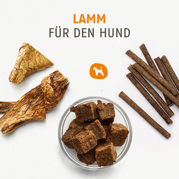 Kauartikel und Leckerchen vom Lamm und Schaf für Hunde