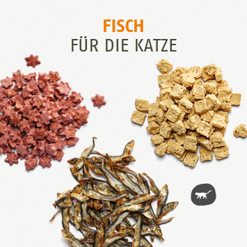 Fisch Snacks für die Katze