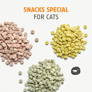 Snacks speziell für die Katze