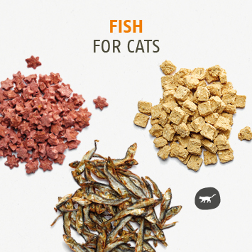 Fisch Snacks für die Katze