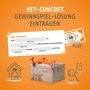 Vet-Concret Gewinnspiel Lösungen eingeben