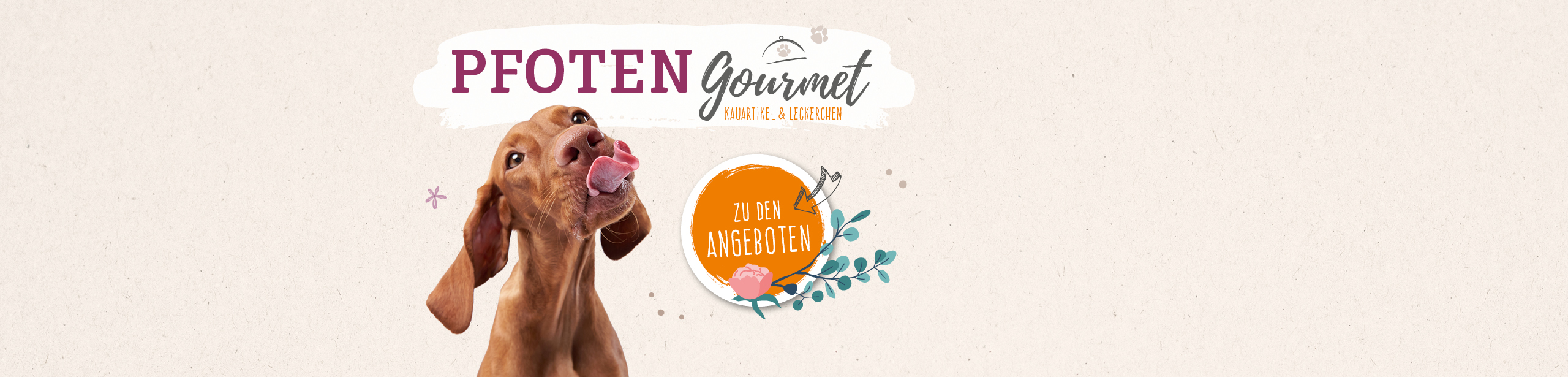 Vet-Concept Angebote für Kauartikel und Leckerchen