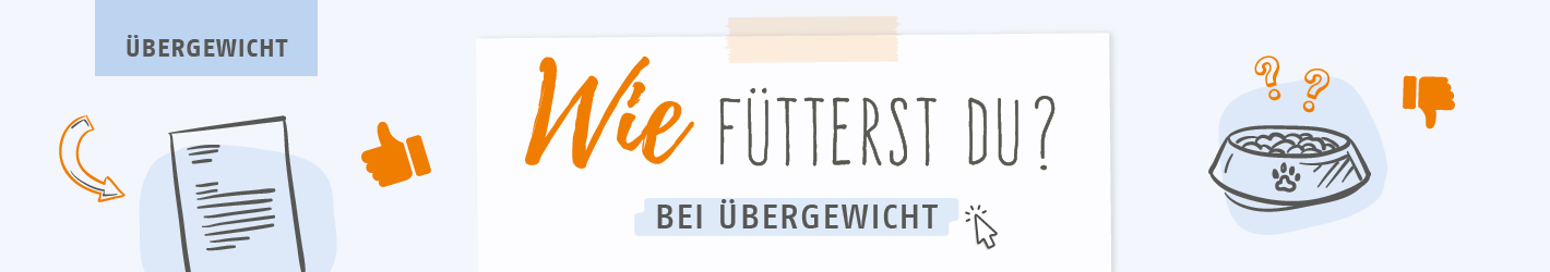 Wie fütterst du bei Übergewicht?