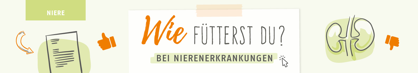 Wie fütterst du bei Nierenerkrankungen?