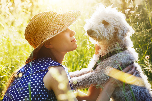 Kleiner weißer Hund mit Besitzerin