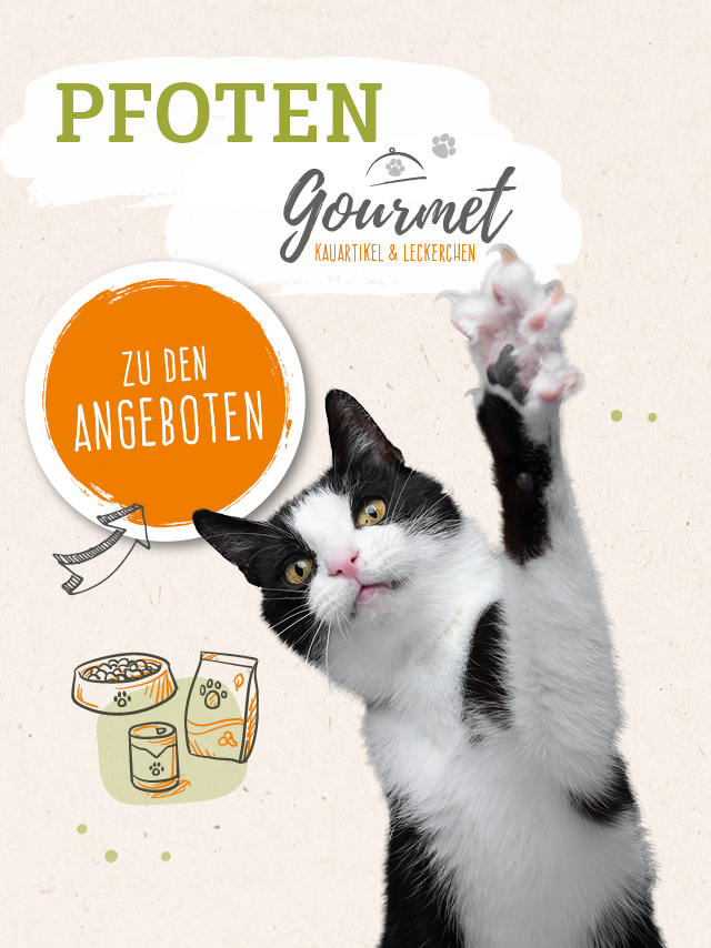 Pfotengourmet Angebote f�r Kauartikel und Leckerchen f�r Katzen