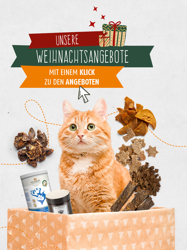 Vet-Concept Weihnachtsangebote für Kauartikel und Leckerchen