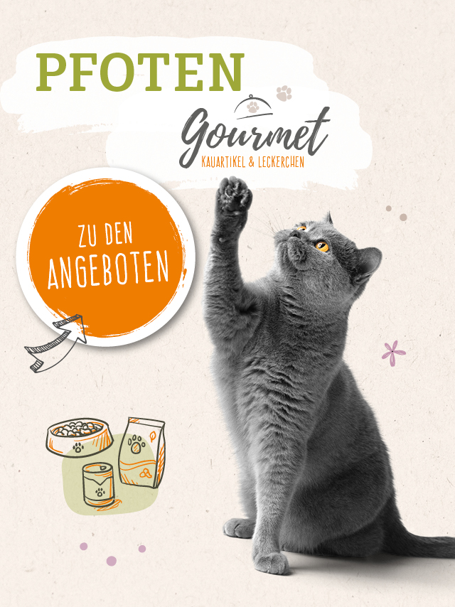 Vet-Concret Angebote für Kauartikel und Leckerchen für Katzen