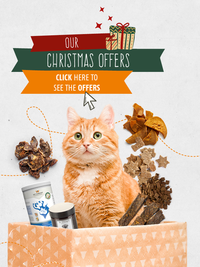 Vet-Concept Weihnachtsangebote für Kauartikel und Leckerchen