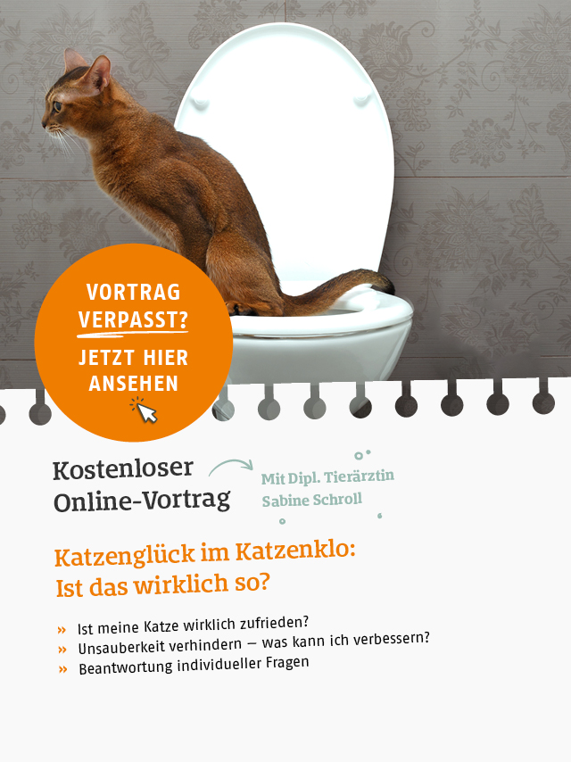 Online Vortrag zum Thema Katzengl�ck im Katzenklo jetzt ansehen