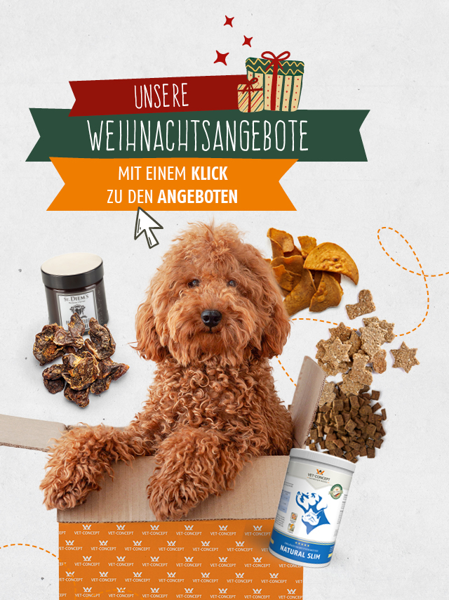 Vet-Concept Weihnachtsangebote für Kauartikel und Leckerchen