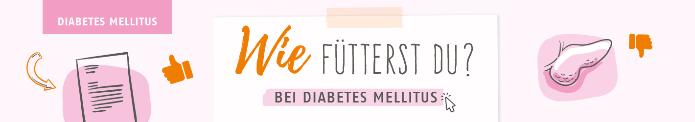 Wie fütterst du bei Diabetes Mellitus?