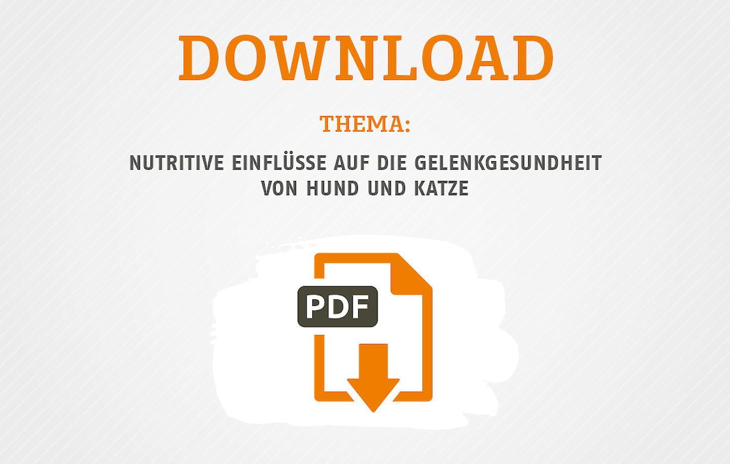 Vortrag Nutritive Einfl&uuml;sse auf die Gelenkgesundheit