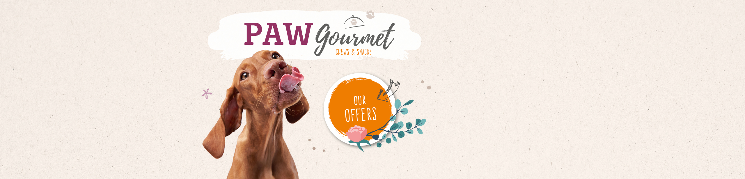 Vet-Concept Angebote für Kauartikel und Leckerchen