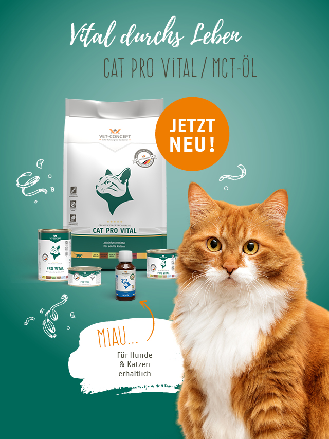 Jetzt Neu im Sortiment! Dog & Cat Pro Vital und MCT-Öl