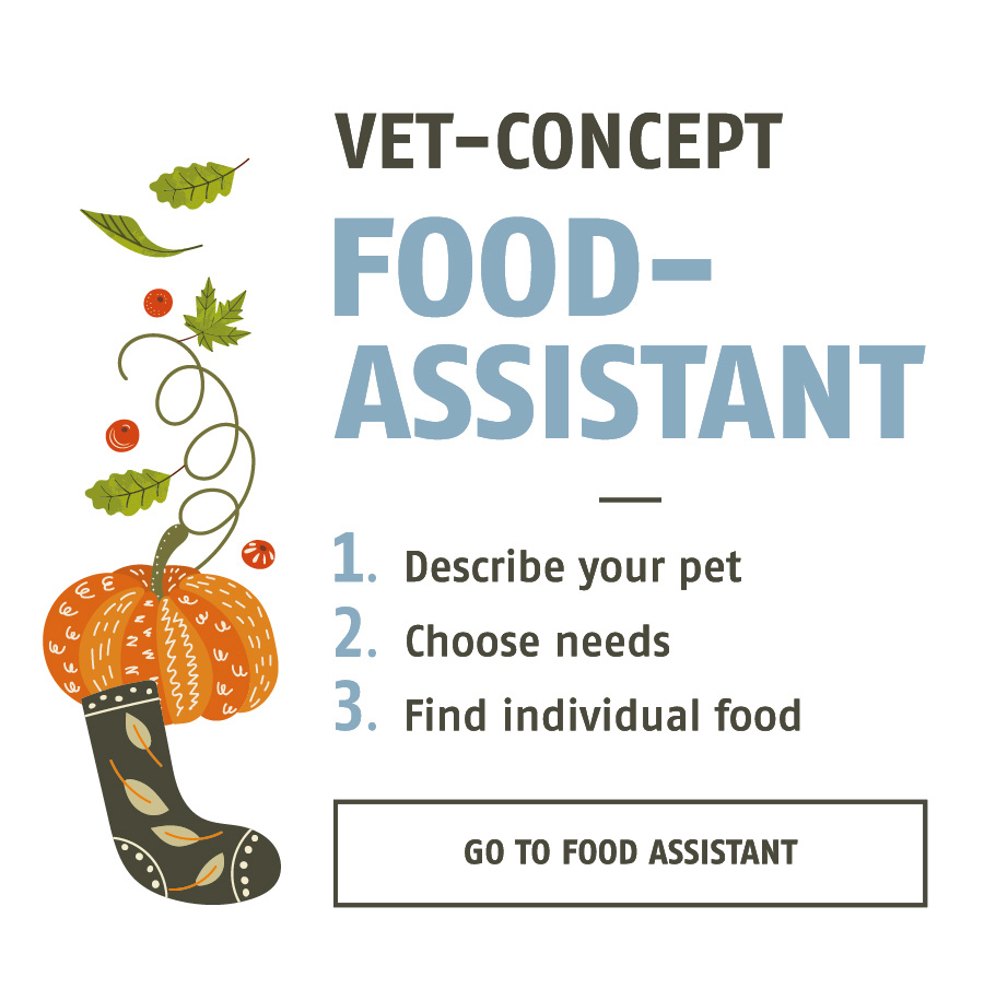 Foodassistent