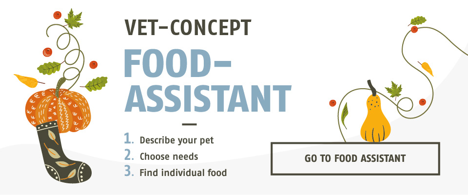 Foodassistent