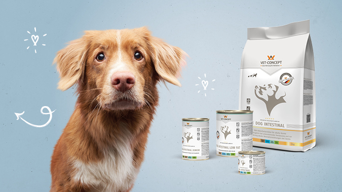 Vet-Concept Di�t-Hundefutter f�r Magen und Darm