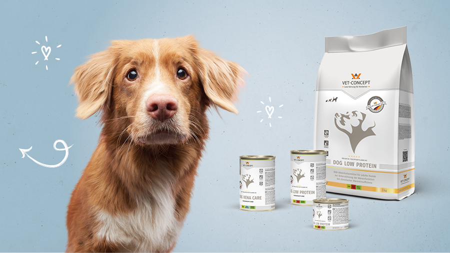 Vet-Concept Nierendi�tfutter f�r Hunde