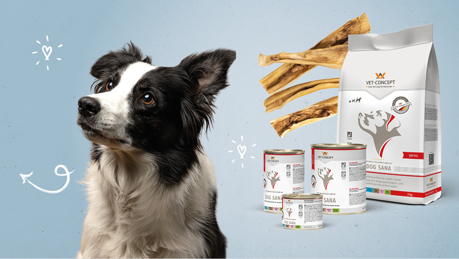 Vet-Concept Monoprotein-Hundefutter mit B�ffel