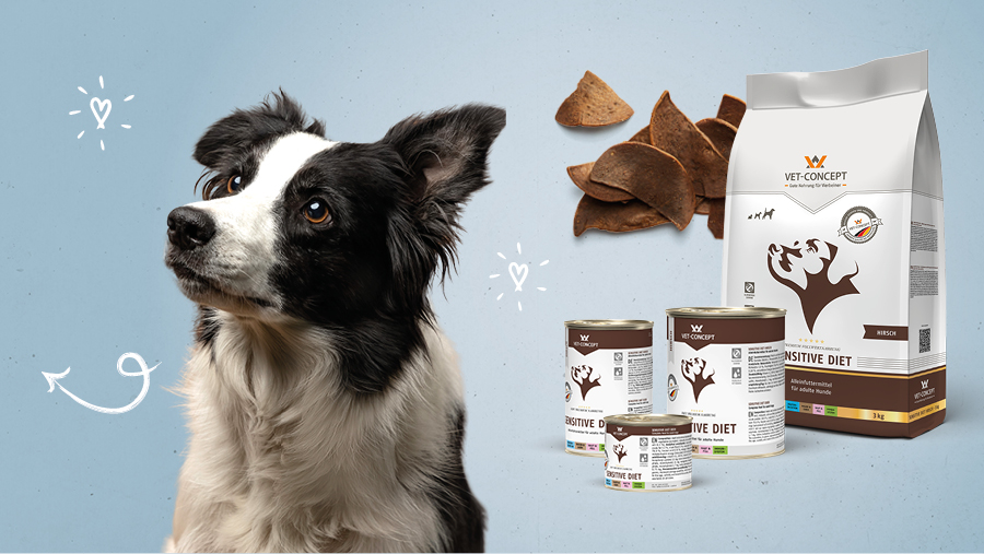 Vet-Concept Monoprotein-Hundefutter mit Hirsch