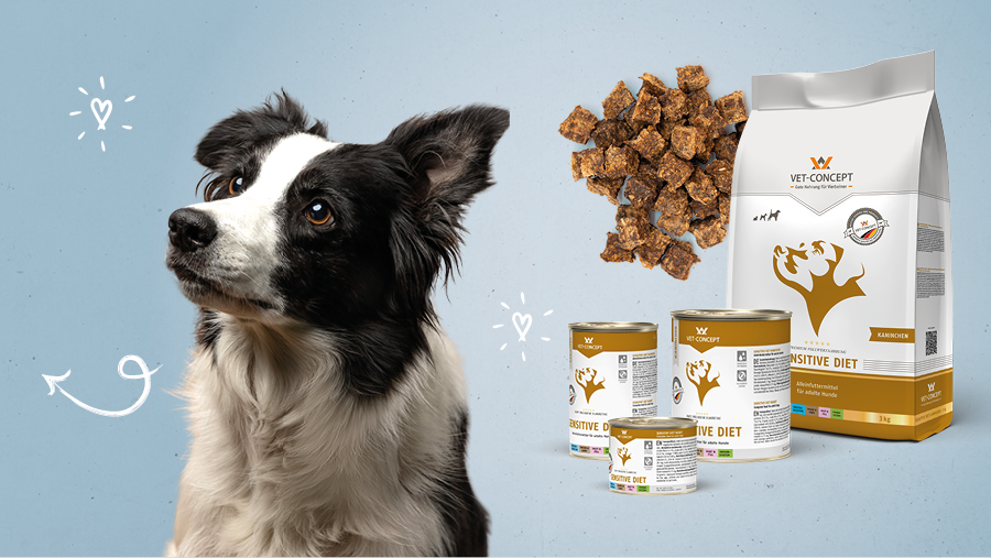 Vet-Concept Monoprotein-Hundefutter mit Kaninchen
