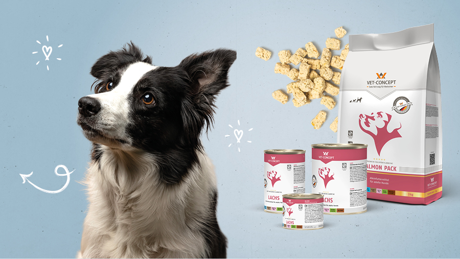 Vet-Concept Monoprotein-Hundefutter mit Lachs
