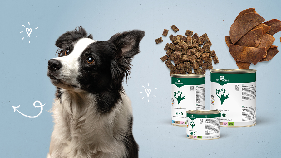Vet-Concept Monoprotein-Hundefutter mit Rind