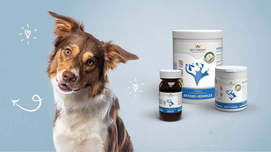 Vet-Concept Hunde-Nahrungserg�nzungsmittel f�r Gelenke