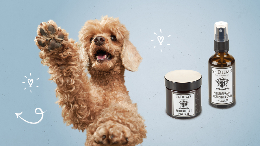 Vet-Concept Pfotenpflege f�r den Hund