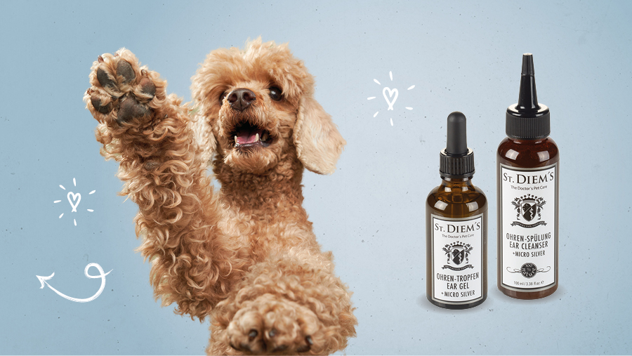 Vet-Concept Ohrenpflege f�r den Hund