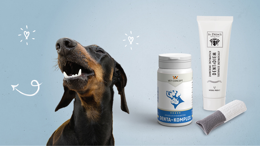 Vet-Concept Zahnpflege f�r den Hund
