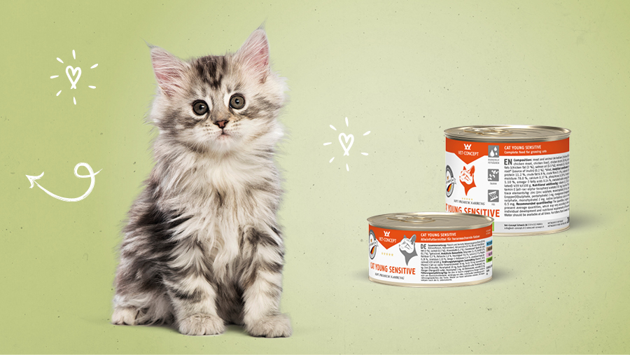 Vet-Concept Nassfutter f�r Kitten