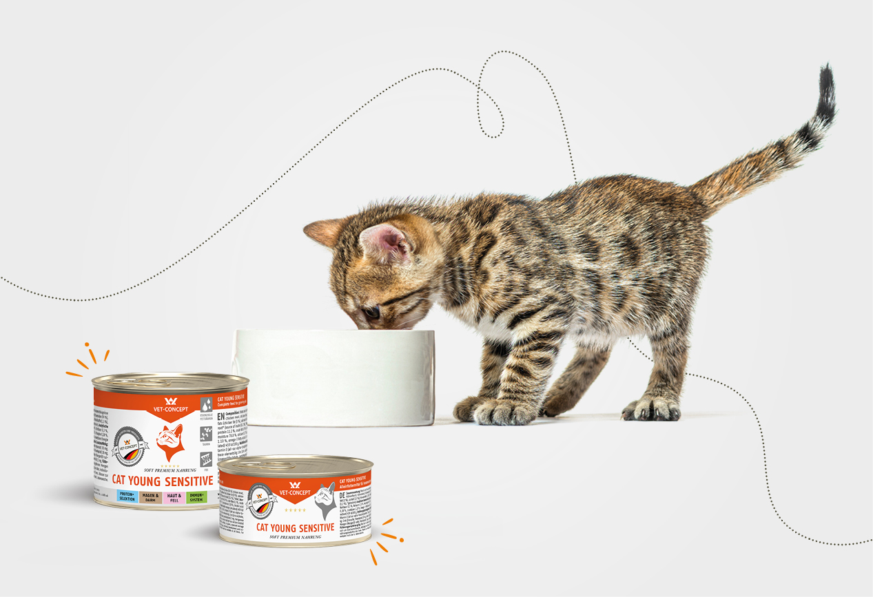 Vet-Concept Kitten-Nassfutter Cat Young Sensitive