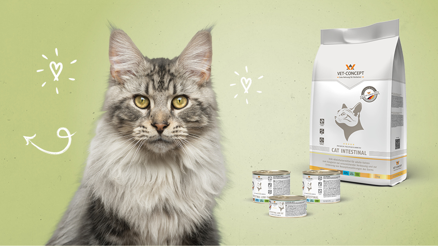 Vet-Concept Katzenfutter f�r Magen und Darm