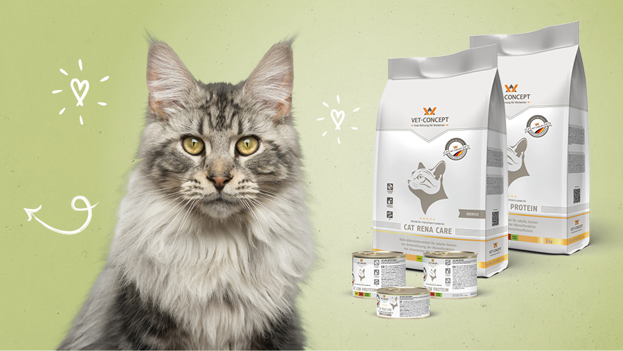 Vet-Concept Nierenfutter f�r Katzen