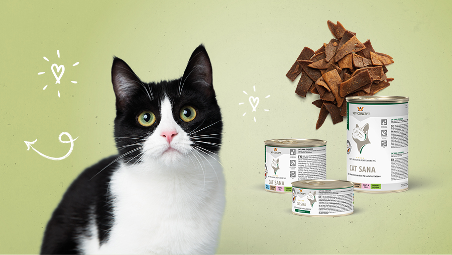 Vet-Concept Monoprotein-Katzenfutter mit K�nguru