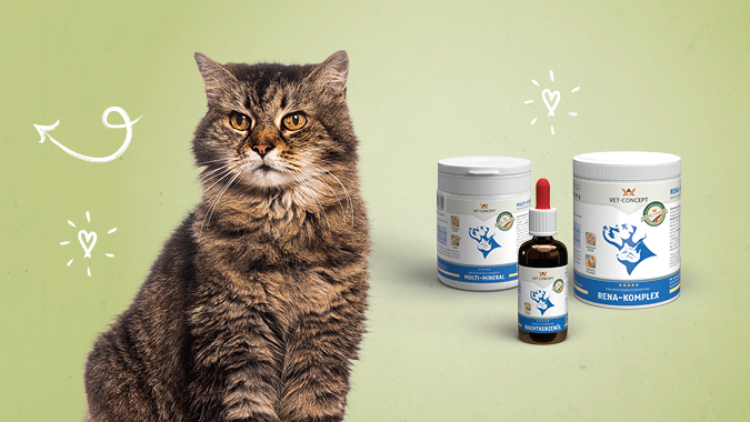 Nahrungserg�nzungsmittel f�r Senior-Katzen