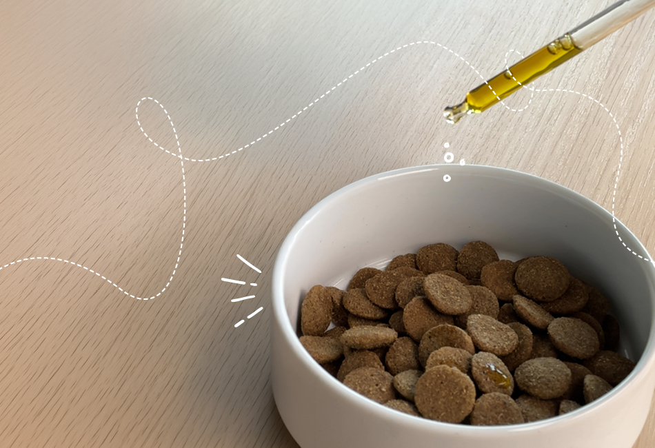 Person gibt Erg�nzungsfuttermittel in Fressnapf mit regul�rem Futter