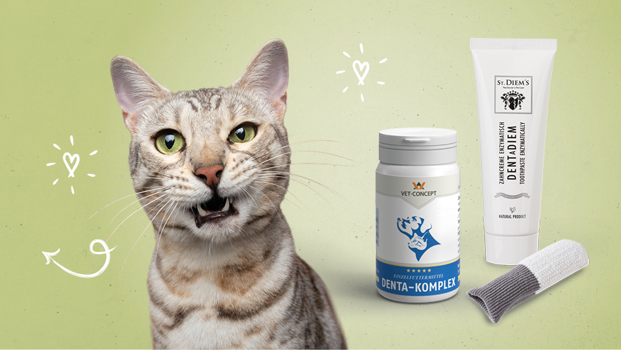 Vet-Concept Zahnpflege f�r Katzen