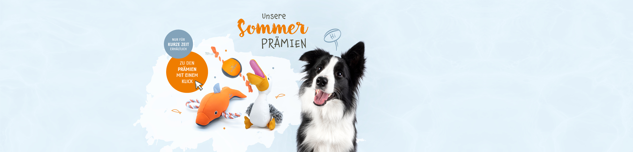 Unsere Sommerprämien sind da! Jetzt entdecken und nur für kurze Zeit erhältlich.