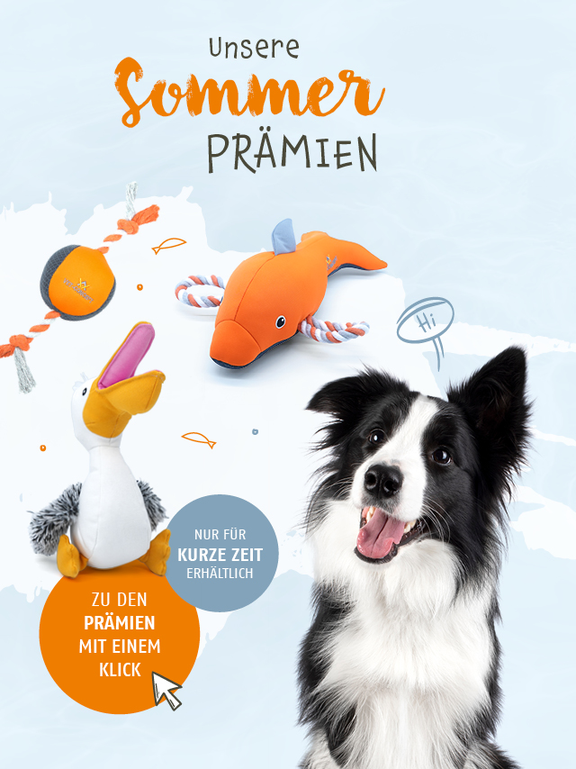 Unsere Sommerprämien sind da! Jetzt entdecken und nur für kurze Zeit erhältlich.
