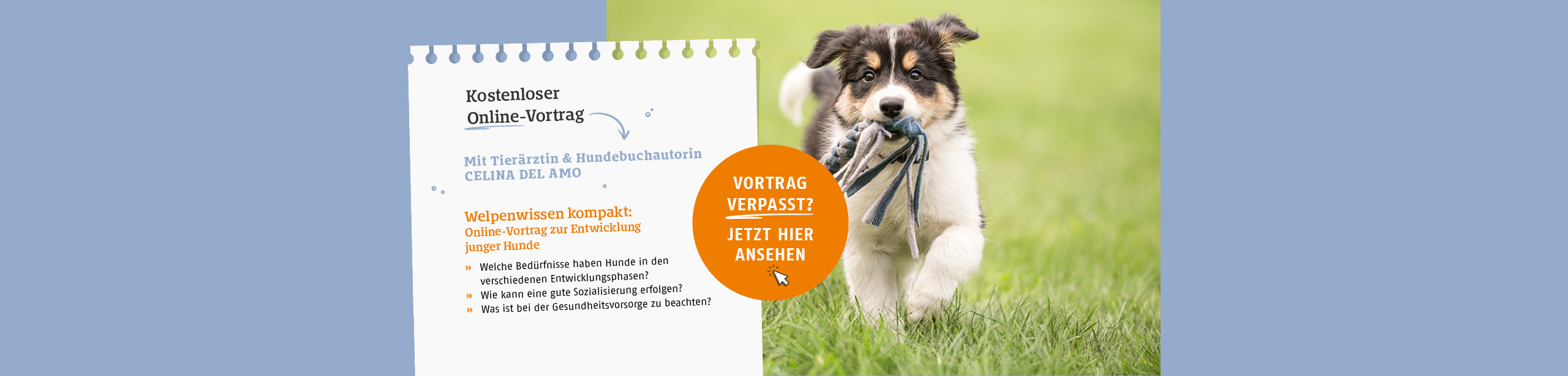 Kostenloser Online-Vortrag zum Thema Welpenwissen kompakt. Jetzt Video ansehen.