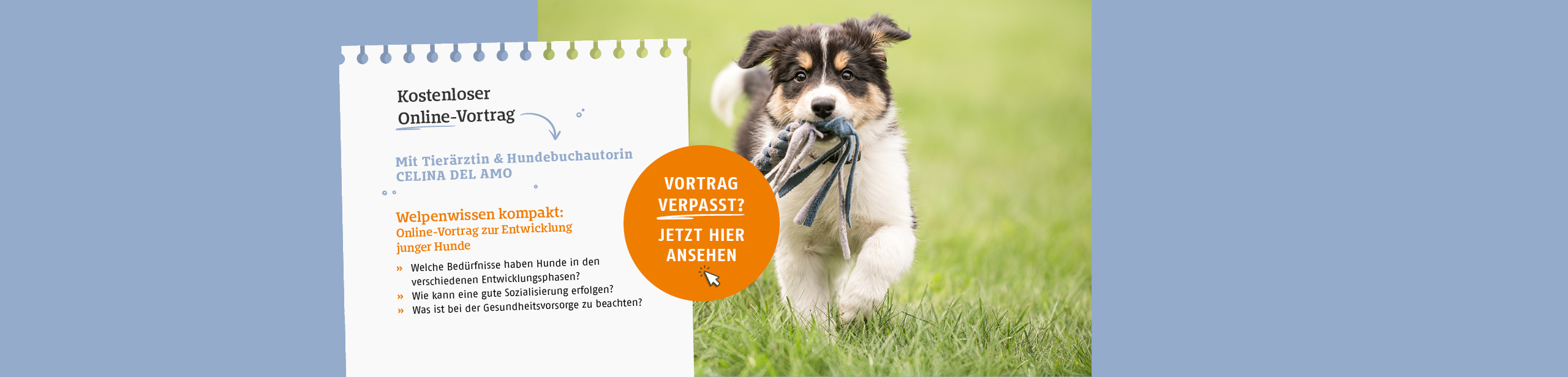 Kostenloser Online-Vortrag zum Thema Welpenwissen kompakt. Jetzt Video ansehen.