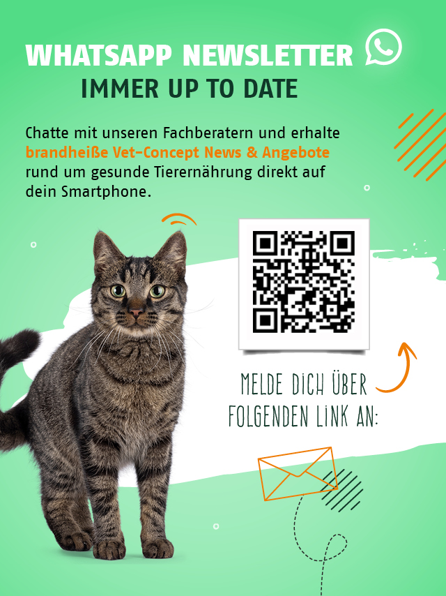 WhatsApp Newsletter. Chatte mit unseren Fachberatern und erhalte brandheiße Vet-Concept News & Angebote direkt auf dein Smartphone.