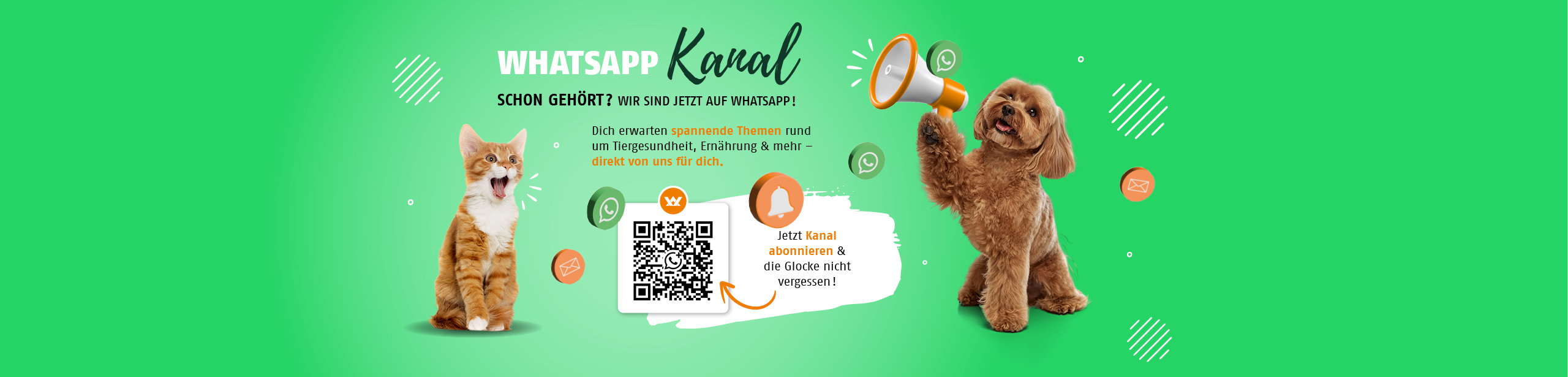 Jetzt WhatsApp Kanal abonnieren & die Glocke nicht vergessen !