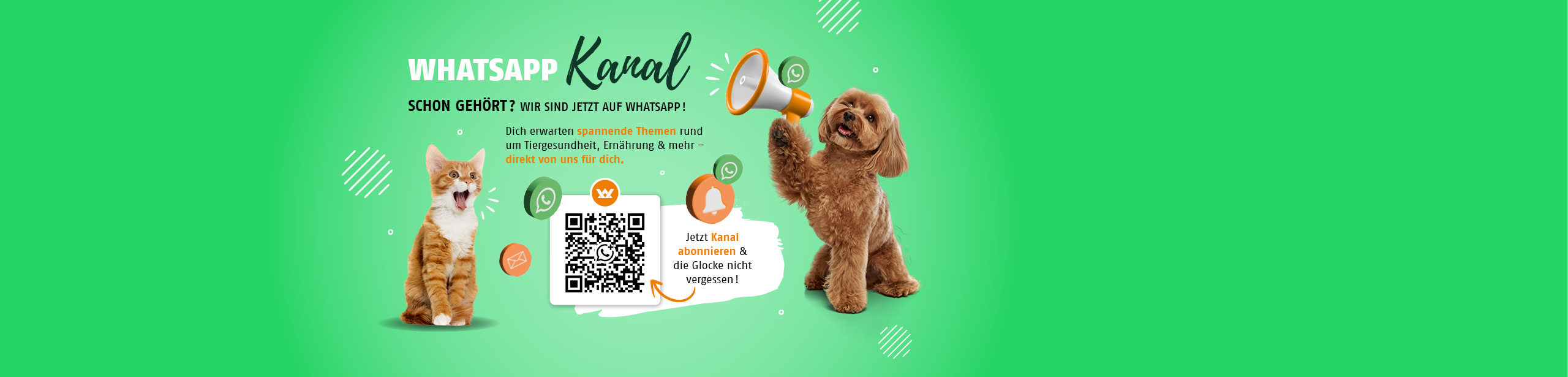 Jetzt WhatsApp Kanal abonnieren & die Glocke nicht vergessen !