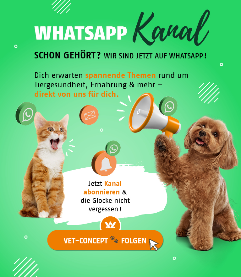 halsband gegen bellen Tierfreundliches Anti-Bell Halsband mit Schallwellentechnologie – Effektive  und Schmerzfreie Lösung gegen Hundebellen – Fellnasenstube main image 0
