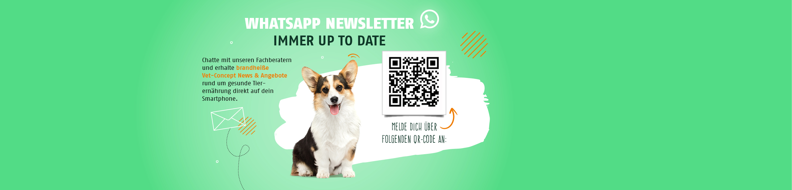 WhatsApp Newsletter. Chatte mit unseren Fachberatern und erhalte brandheiße Vet-Concept News & Angebote direkt auf dein Smartphone.